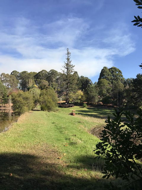 Forest Lodge Resort - Accommodation Gladstone 31