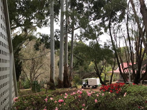 Forest Lodge Resort - Accommodation Gladstone 11