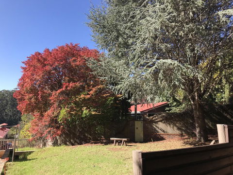 Forest Lodge Resort - Accommodation Gladstone 42