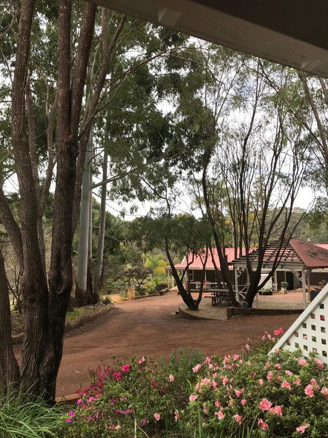 Forest Lodge Resort - Accommodation Gladstone 9