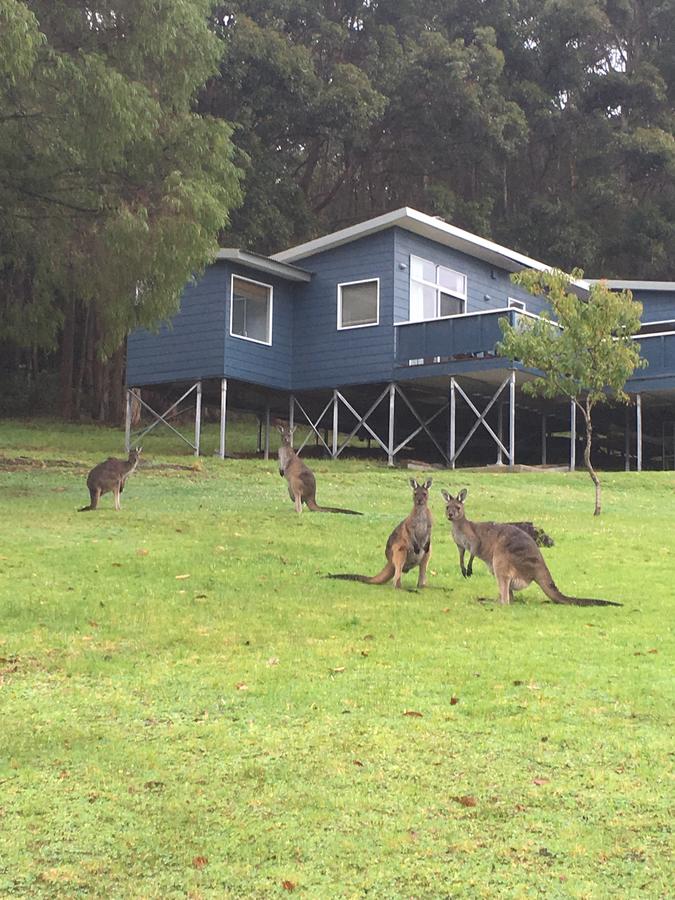  Accommodation Gladstone