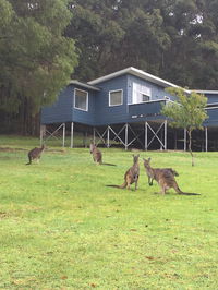 Book Denmark Accommodation Vacations Accommodation Gladstone Accommodation Gladstone