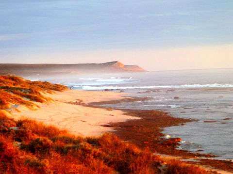 Kanga Cottage - Accommodation Gladstone 26