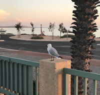 Shark Bay Seafront Apartments - Accommodation Gladstone