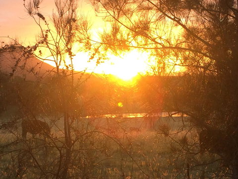 Grapevines Boutique Accommodation - Accommodation Gladstone 27