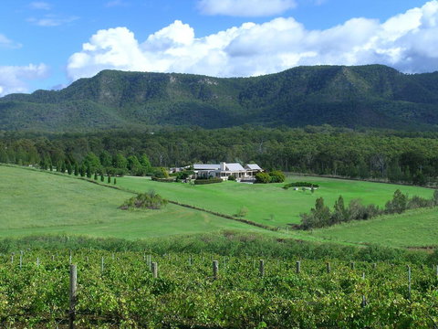 Grapevines Boutique Accommodation - Accommodation Gladstone 23