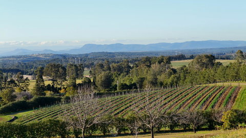 Grapevines Boutique Accommodation - Accommodation Gladstone 21