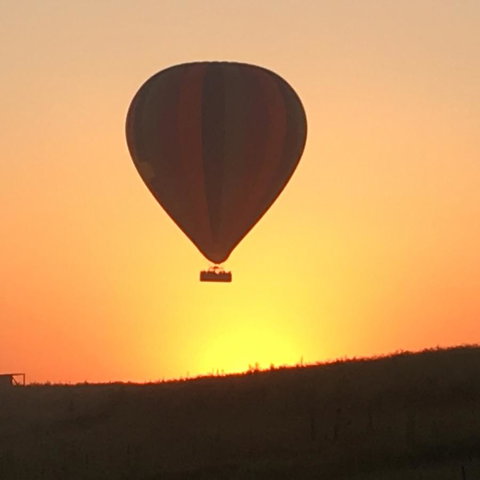 Grapevines Boutique Accommodation - Accommodation Gladstone 13