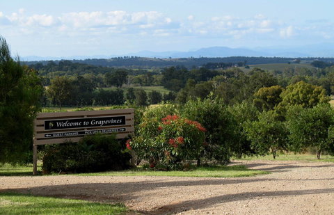 Grapevines Boutique Accommodation - Accommodation Gladstone 15