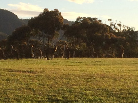 Grapevines Boutique Accommodation - Accommodation Gladstone 26