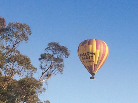 Grapevines Boutique Accommodation - Accommodation Gladstone 12