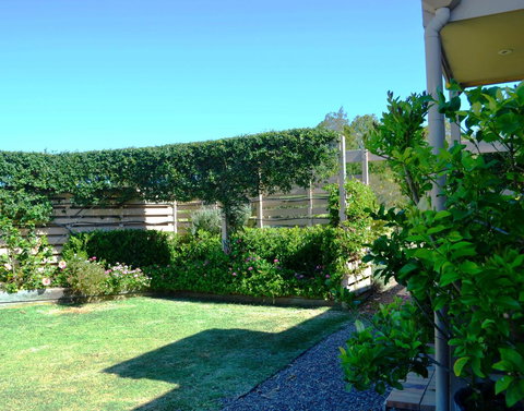 Grapevines Boutique Accommodation - Accommodation Gladstone 14