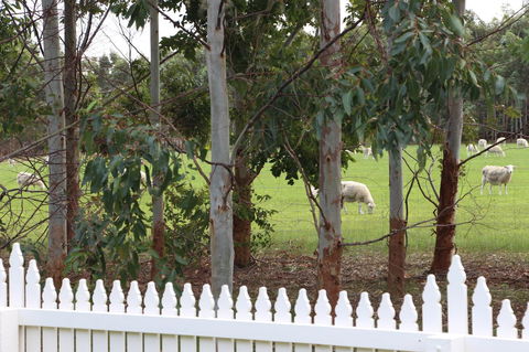 Sapphire Chalets, Augusta - Accommodation Gladstone 9