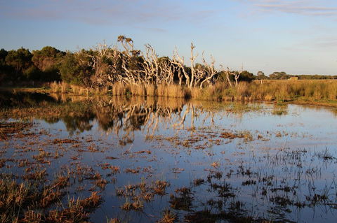 Sapphire Chalets, Augusta - Accommodation Gladstone 13