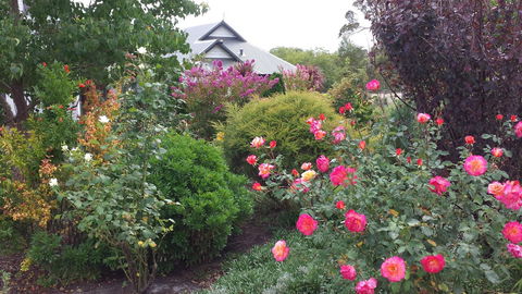 Glenelg On King Bed & Breakfast - Accommodation Gladstone 15