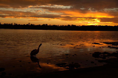 Dungowan Holiday Accommodation - Accommodation Gladstone 31