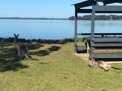 Dungowan Holiday Accommodation - Accommodation Gladstone 33