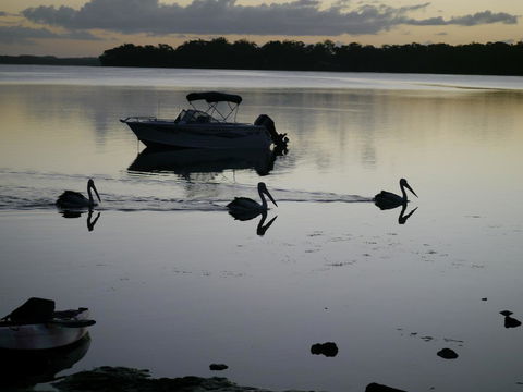 Dungowan Holiday Accommodation - Accommodation Gladstone 41