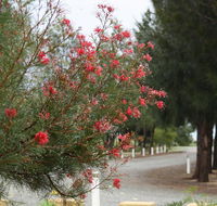 The Heights Bed  Breakfast - Accommodation Gladstone