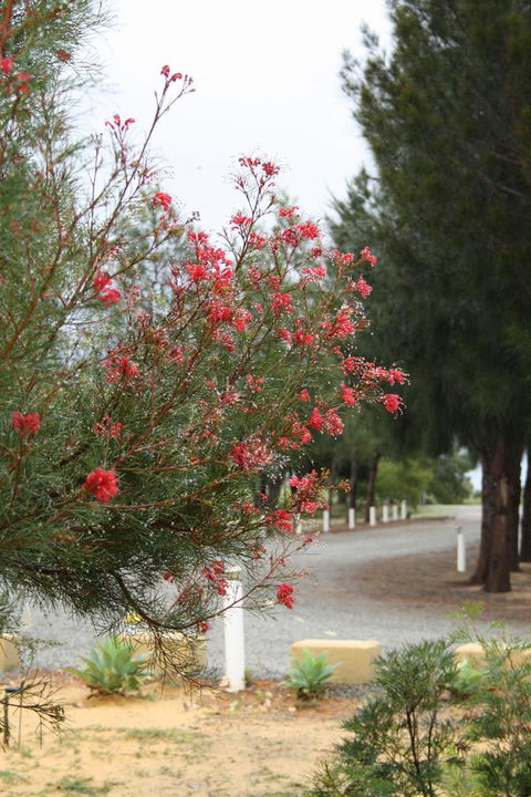 The Heights Bed & Breakfast - Accommodation Gladstone 0