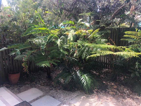 East On Byron - Accommodation Gladstone 40