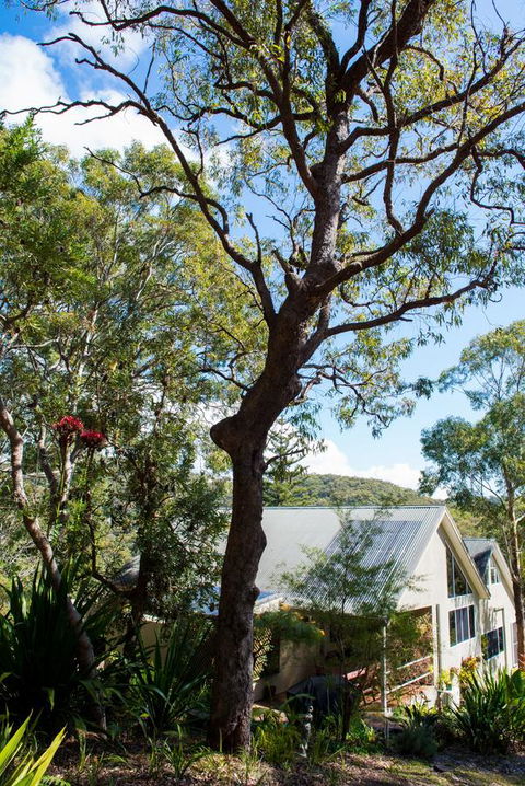 Nelson Bay Bed & Breakfast - Accommodation Gladstone 42