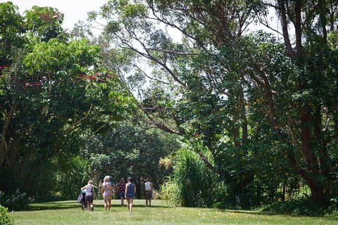 Ingenia Holidays Byron Bay - Accommodation Gladstone 11