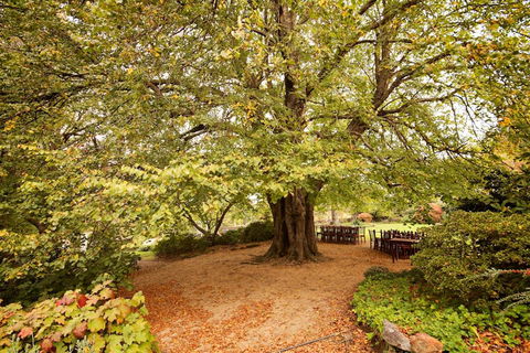Nesuto Leura Gardens (formerly Waldorf Leura Gardens Resort) - Accommodation Gladstone 1
