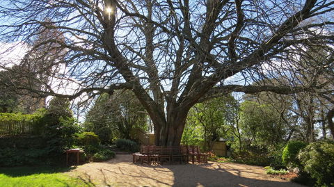 Nesuto Leura Gardens (formerly Waldorf Leura Gardens Resort) - Accommodation Gladstone 3