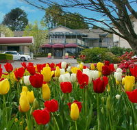 Nesuto Leura Gardens formerly Waldorf Leura Gardens Resort - Accommodation Gladstone