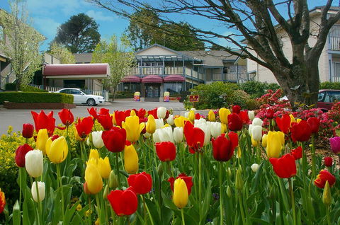 Nesuto Leura Gardens (formerly Waldorf Leura Gardens Resort) - Accommodation Gladstone 0