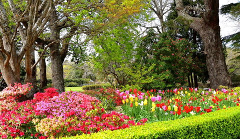 Nesuto Leura Gardens (formerly Waldorf Leura Gardens Resort) - Accommodation Gladstone 8