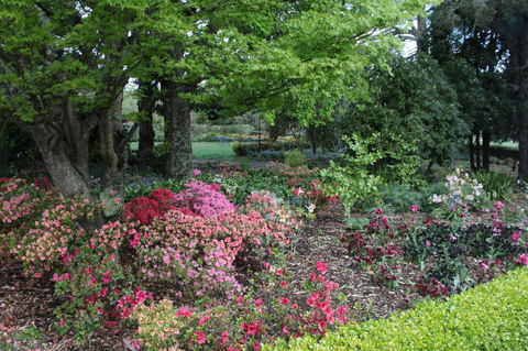 Nesuto Leura Gardens (formerly Waldorf Leura Gardens Resort) - Accommodation Gladstone 2