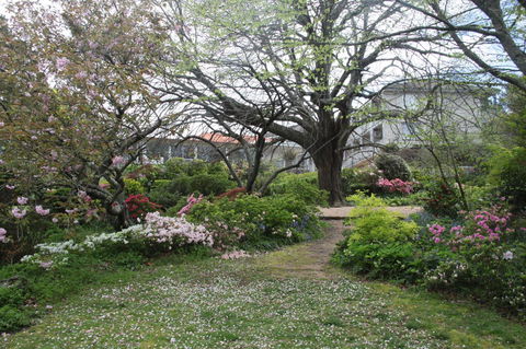 Nesuto Leura Gardens (formerly Waldorf Leura Gardens Resort) - Accommodation Gladstone 4