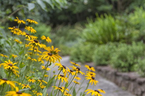 Nesuto Leura Gardens (formerly Waldorf Leura Gardens Resort) - Accommodation Gladstone 16