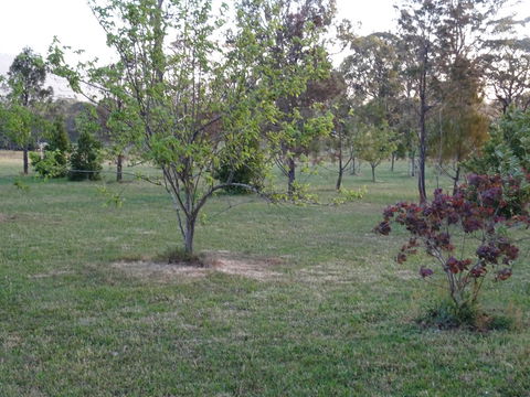 Romanz In The Valley (Luxury B&B) - Accommodation Gladstone 32