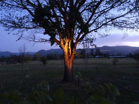 Romanz In The Valley (Luxury B&B) - Accommodation Gladstone 36