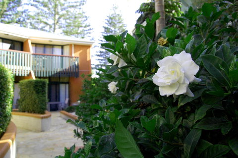 The Crest Byron Bay - Accommodation Gladstone 29