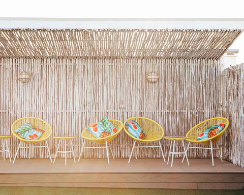 Wake Up! Bondi Beach - Accommodation Gladstone 25