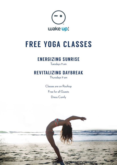 Wake Up! Bondi Beach - Accommodation Gladstone 4