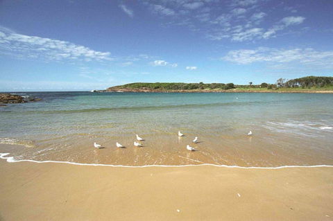 On The Beach Getaway - Accommodation Gladstone 12