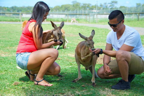 On The Beach Getaway - Accommodation Gladstone 25