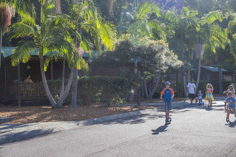 The Palms At Avoca - Accommodation Gladstone 14