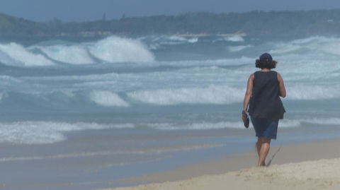 SaltBeach2302 - Accommodation Gladstone 16