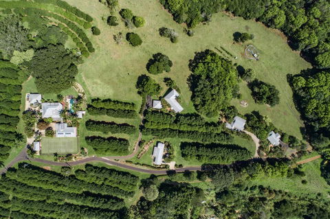 Byron Hinterland Villas - Accommodation Gladstone 17