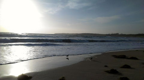 Sweet Spot Shellharbour - Accommodation Gladstone 14