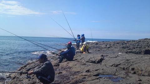 Sweet Spot Shellharbour - Accommodation Gladstone 13