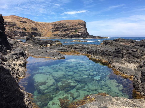 Sweet Spot Shellharbour - Accommodation Gladstone 17
