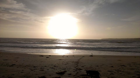 Sweet Spot Shellharbour - Accommodation Gladstone 16