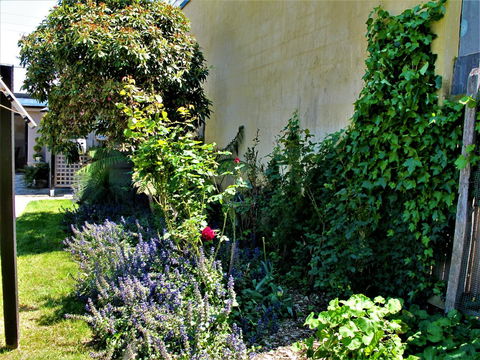Apple Tree Cottage - Accommodation Gladstone 24
